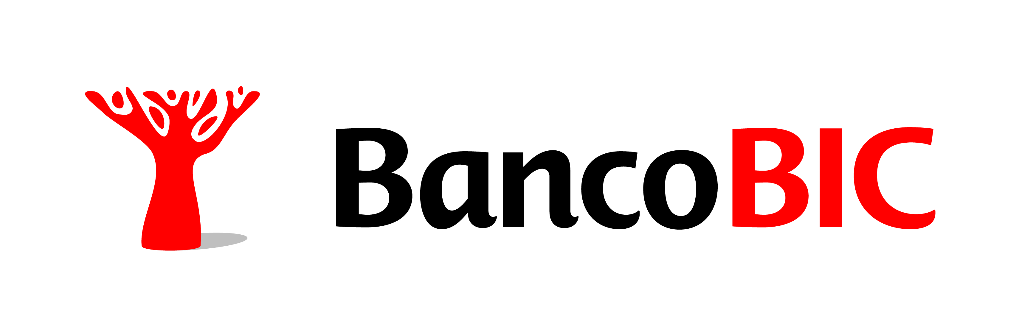 bancobic